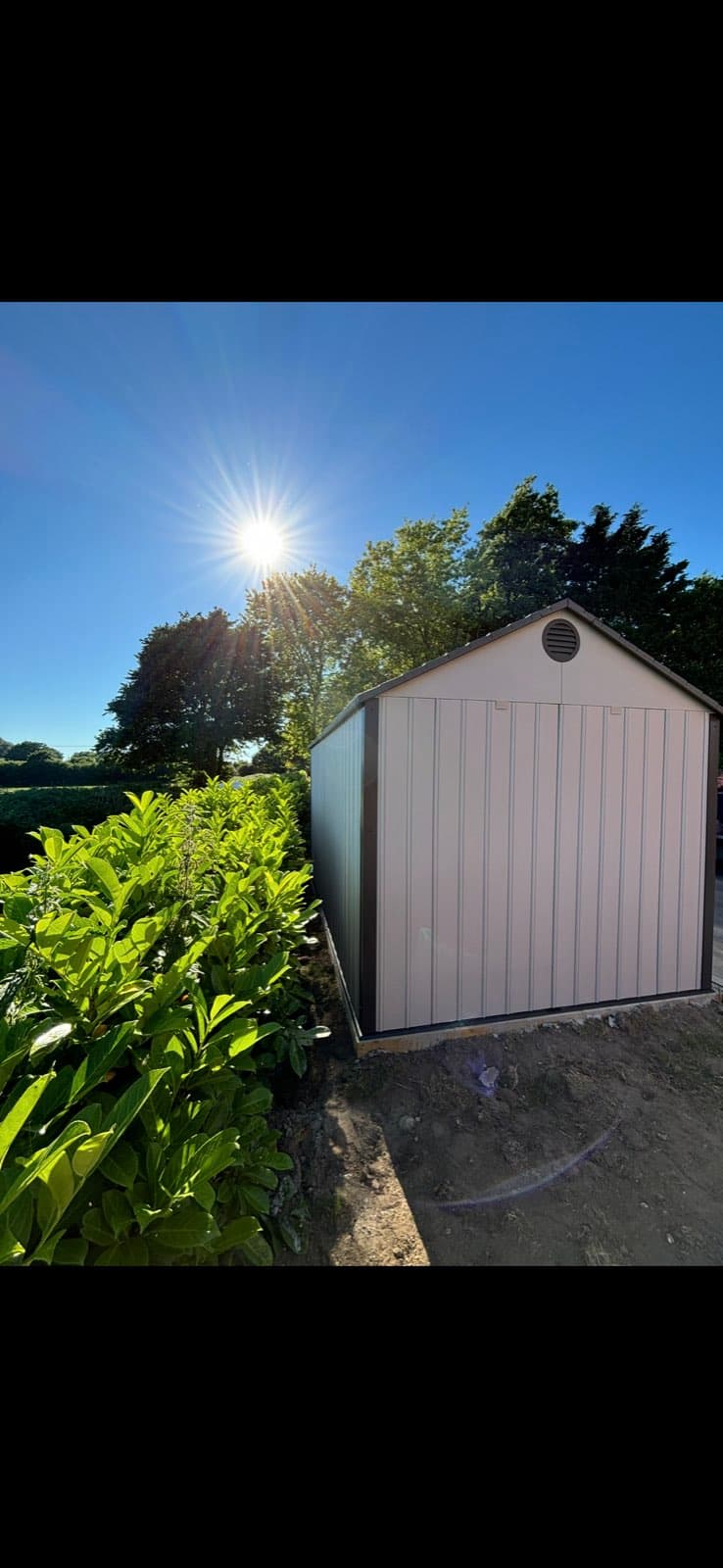 Pale apex-roof garden shed in bright sunshine behind a laurel hedge