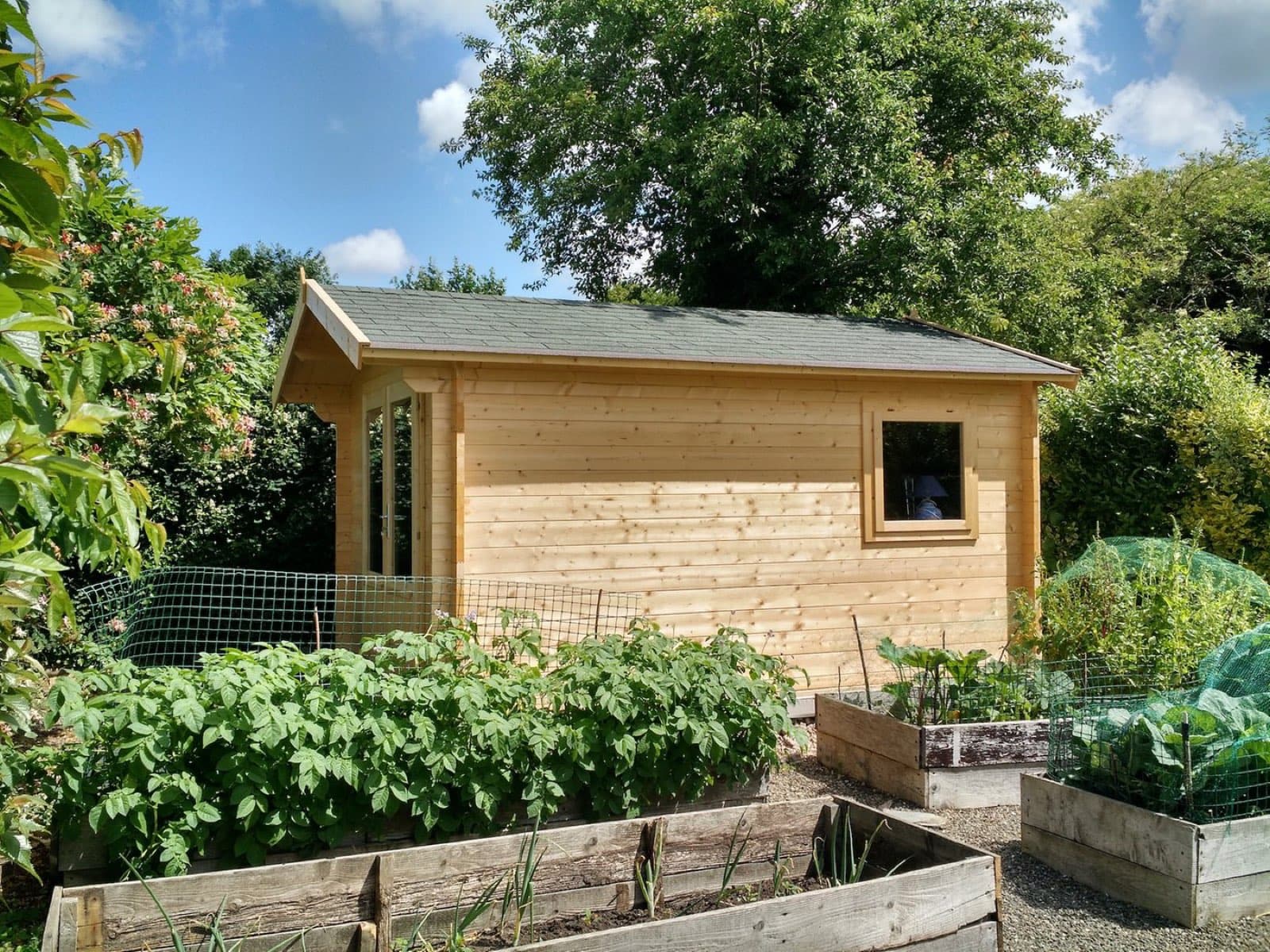 Untreated apex log cabin on an allotment-style kitchen garden, with raised vegetable beds and netting in front